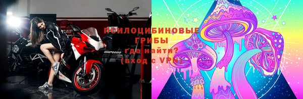 ГАЛЛЮЦИНОГЕННЫЕ ГРИБЫ Нефтекумск