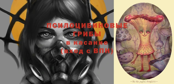 ГАЛЛЮЦИНОГЕННЫЕ ГРИБЫ Нефтекумск