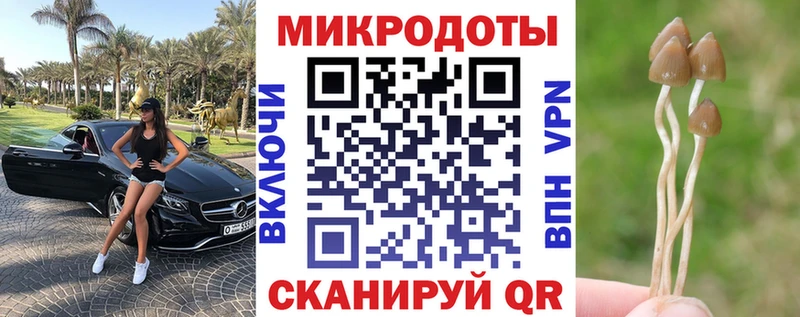 МЕГА зеркало  Касимов  Псилоцибиновые грибы прущие грибы 
