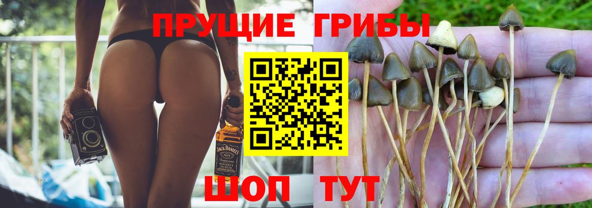 Галлюциногенные грибы прущие грибы Касимов