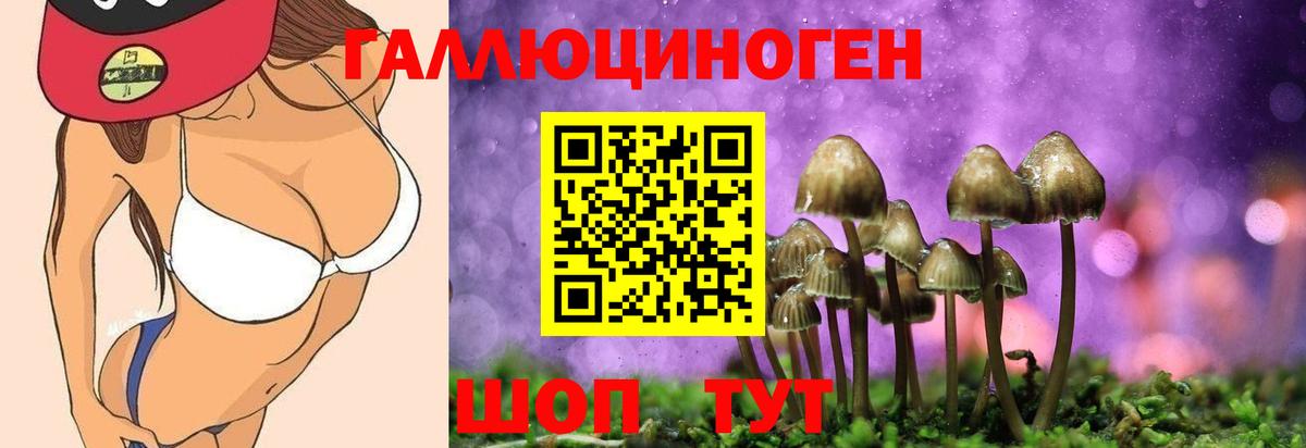 Касимов  Псилоцибиновые грибы ЛСД  Галлюциногенные грибы ЛСД  Вход с VPN 