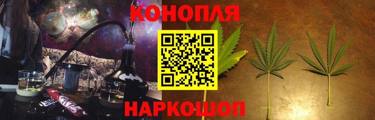 Каннабис OG Kush Касимов